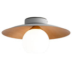 Bowl Shaped Led Ceiling Light Li002070