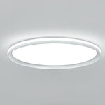Lighting Ceiling Lights Flush Mount Lighting_Tli00168