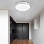 Lighting Ceiling Lights Flush Mount Lighting_3Xte8