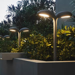 Bean Sprouts Shaped Led Pathway Light Li002095