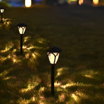 2Pcs Waterproof Solar Lawn Lamp Ha083001