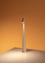 Africa Table Lamp