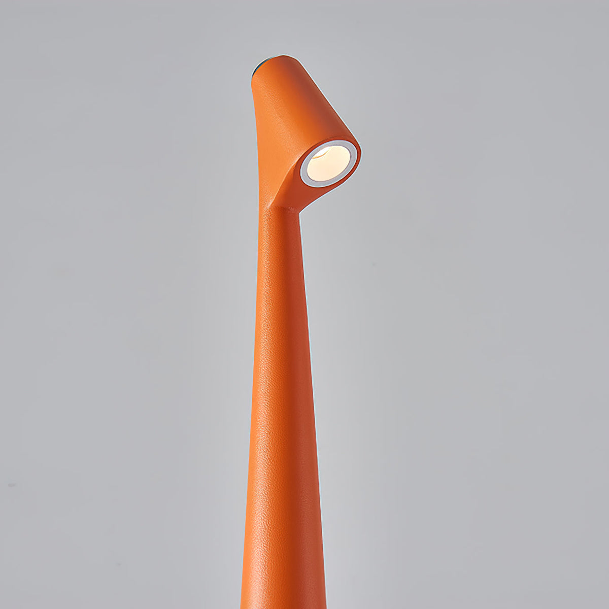 Africa Table Lamp