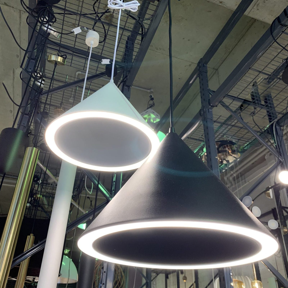 Circular Ring Pendant Light Fi