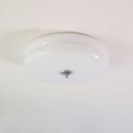 Art Deco Vintage Ceiling Light 25496227