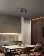 Dual-Head Track Downlight Fixture