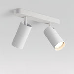 Dual-Head Track Downlight Fixture