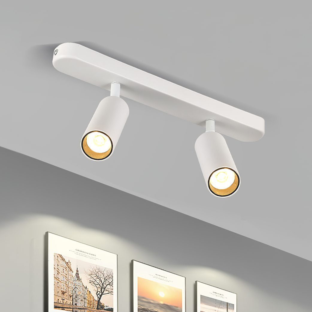 Dual-Head Track Downlight Fixture