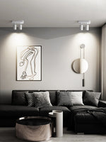 Dual-Head Track Downlight Fixture