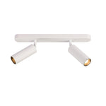 Dual-Head Track Downlight Fixture