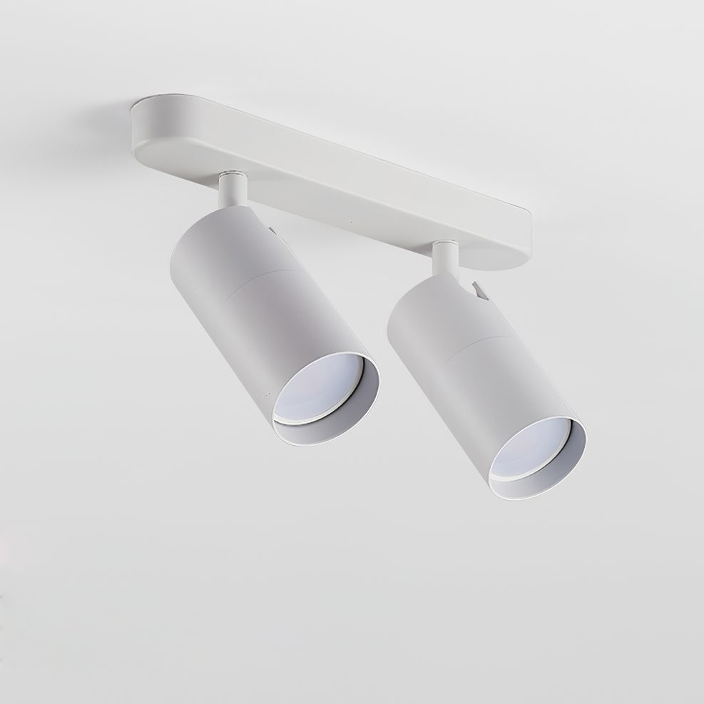 Dual-Head Track Downlight Fixture