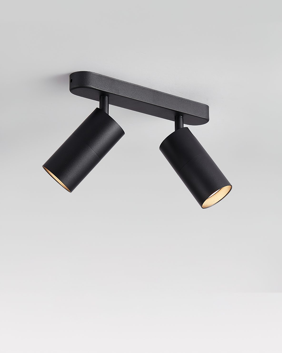 Dual-Head Track Downlight Fixture