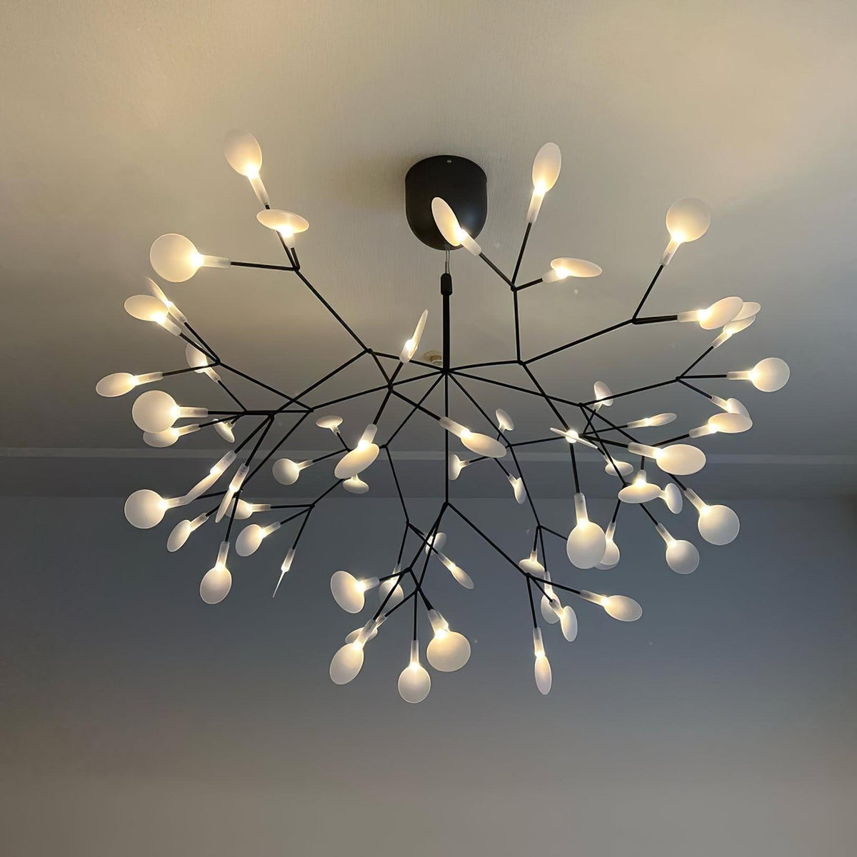 black-firefly-led-chandelier