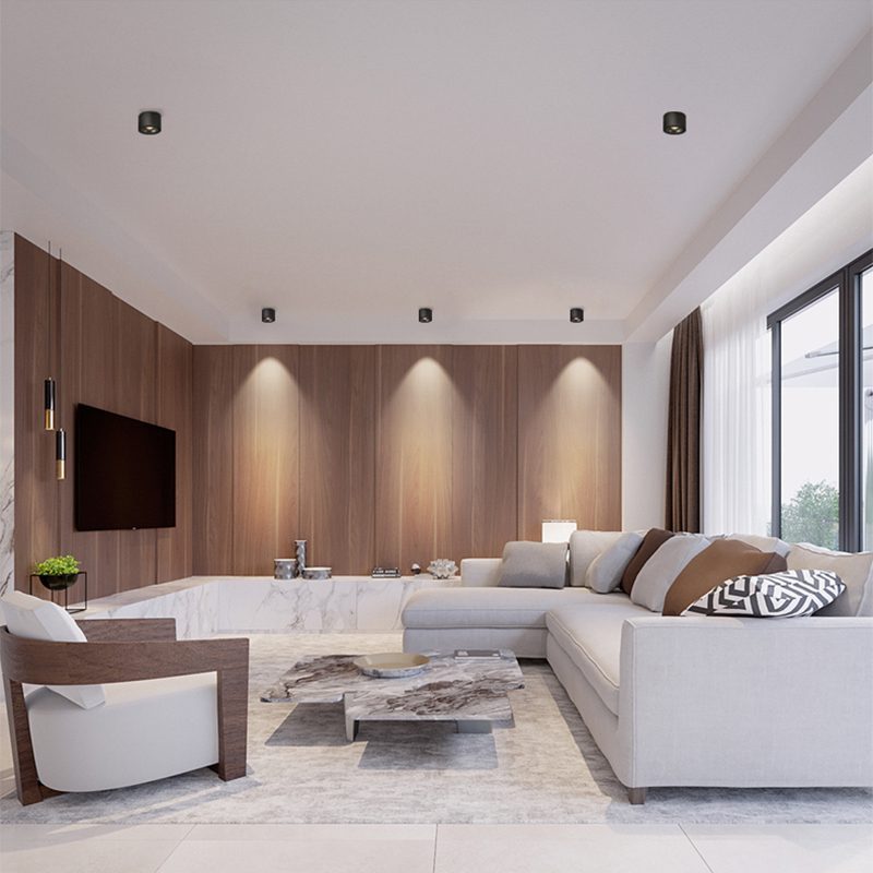 Recessed LED cylinder downlight