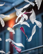 Crystal Glass Feather Crown Hanging Chandelier