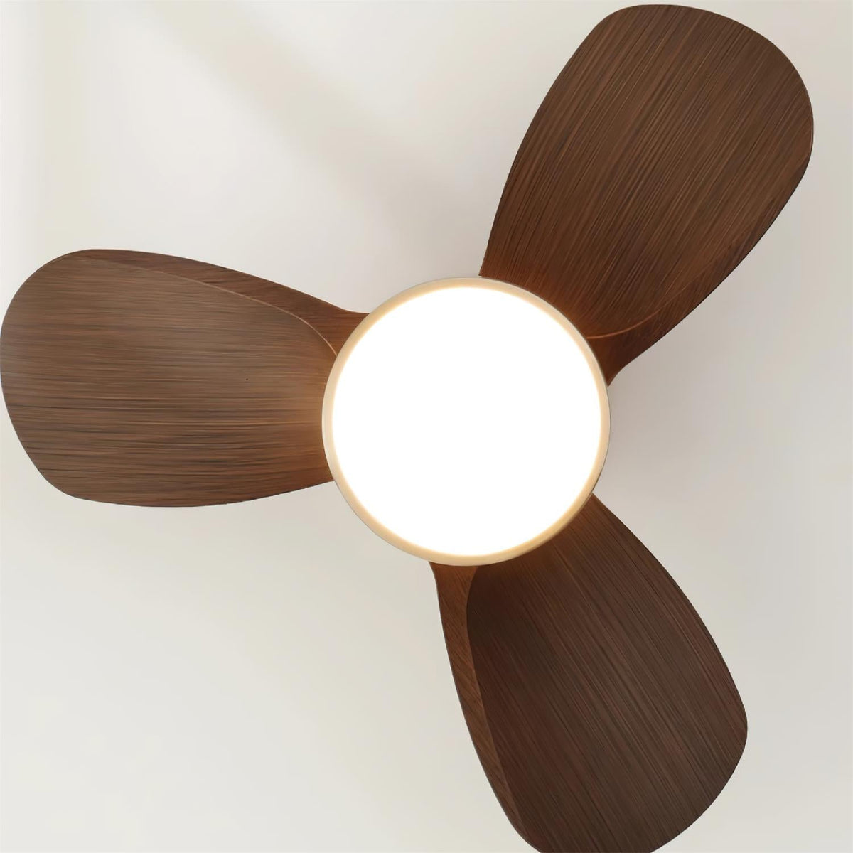 Talaya Ceiling Fan Light 25028518