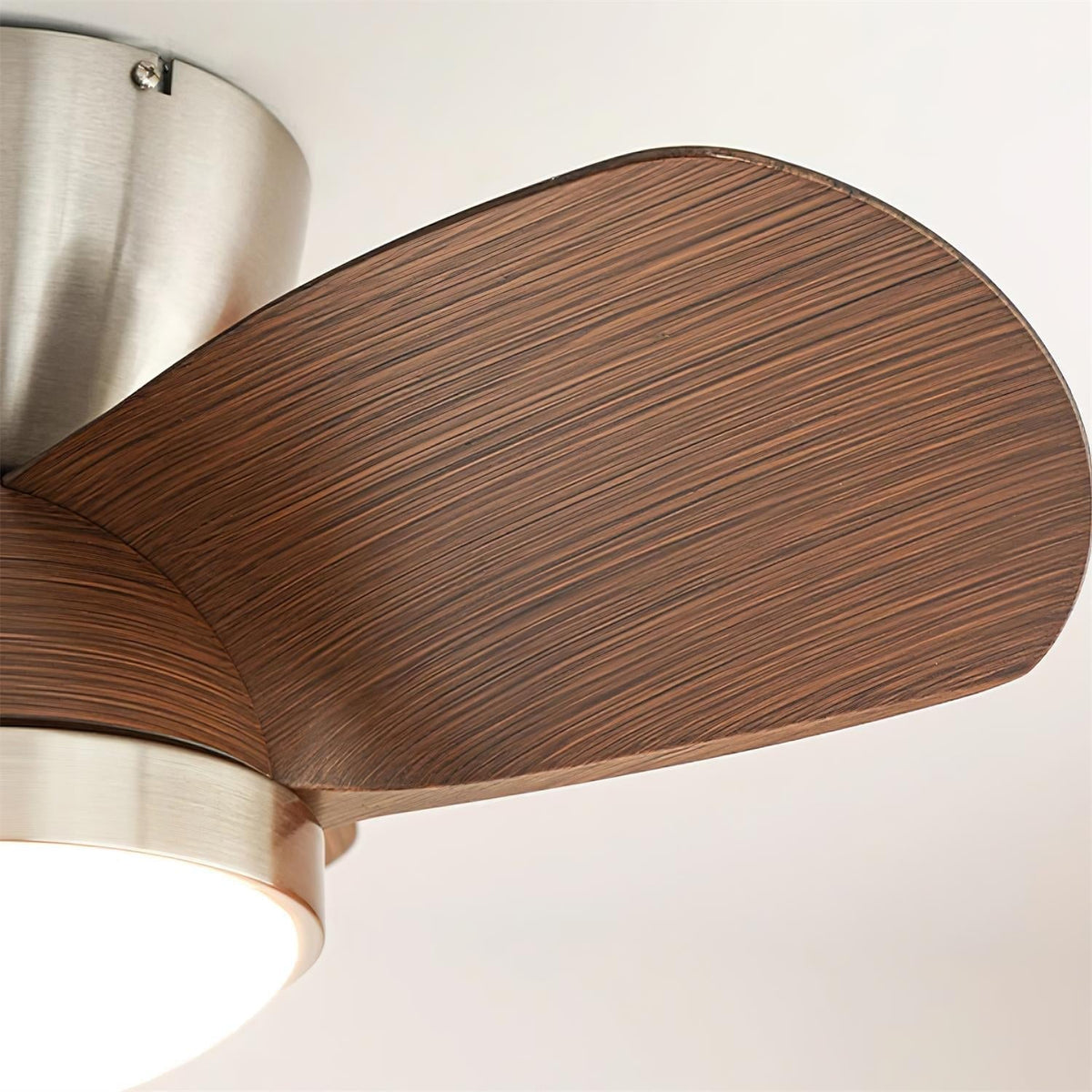 Talaya Ceiling Fan Light 25028518