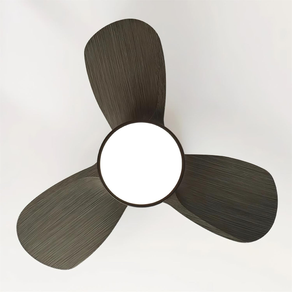 Talaya Ceiling Fan Light 25028518