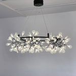 heracleum-round-chandelier