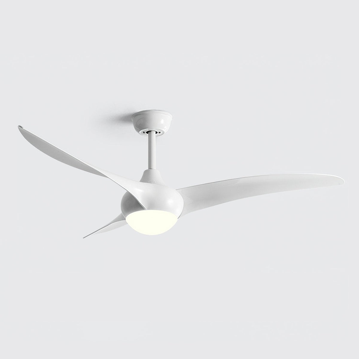Ceiling Light with Integrated Indo