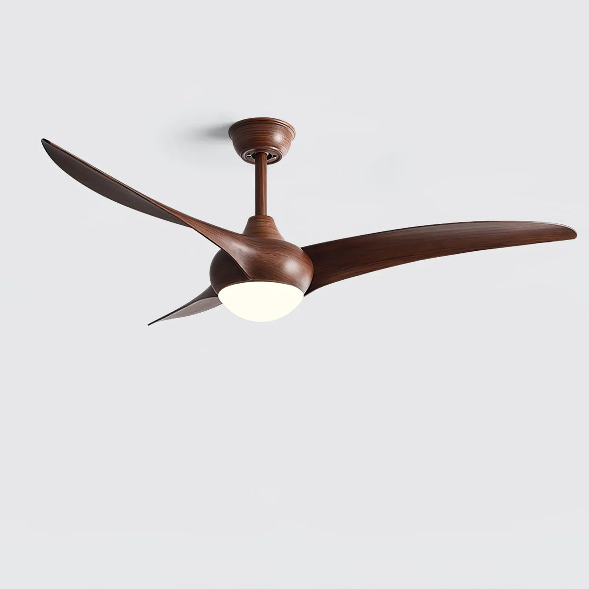 Ceiling Light with Integrated Indo