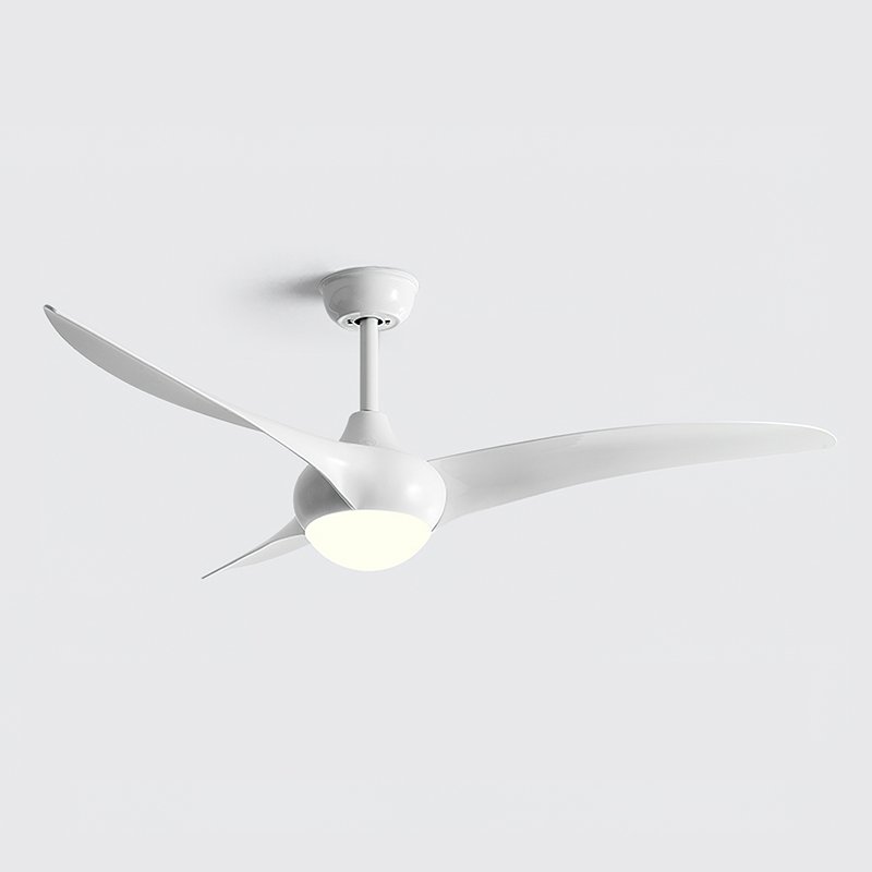 Ceiling Light with Integrated Indo