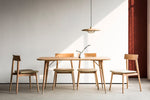 Kasa Hanging Ceiling Light