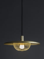 Kasa Hanging Ceiling Light