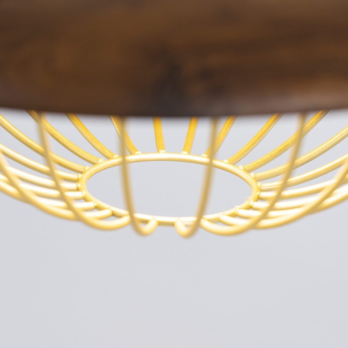 Kasa Hanging Ceiling Light