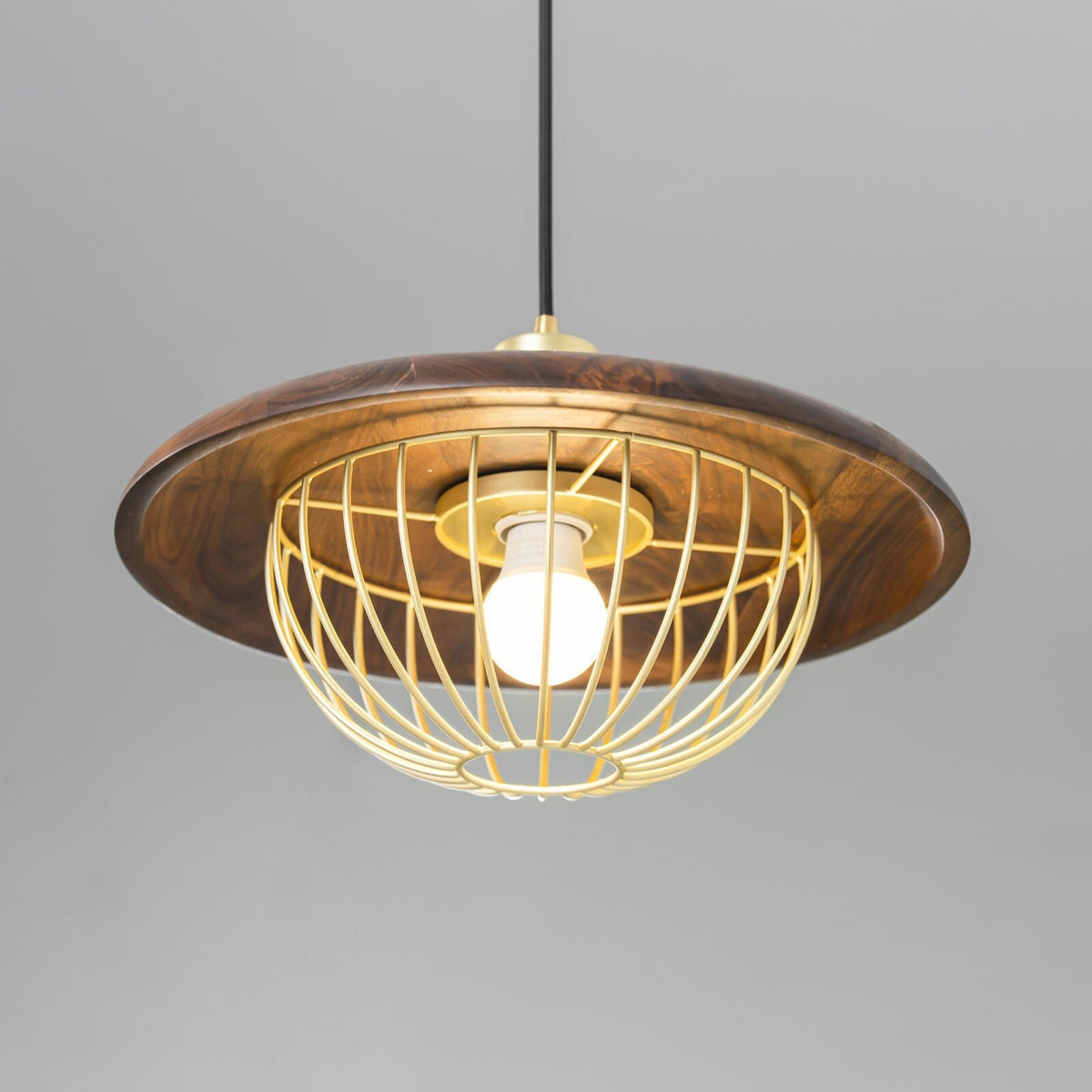 Kasa Hanging Ceiling Light