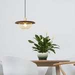 Kasa Hanging Ceiling Light