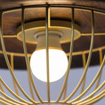 Kasa Hanging Ceiling Light