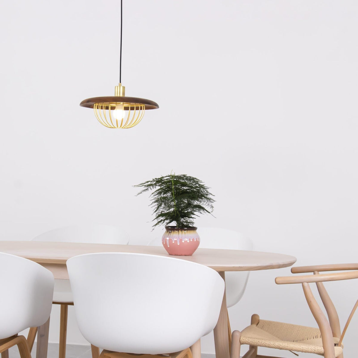 Kasa Hanging Ceiling Light