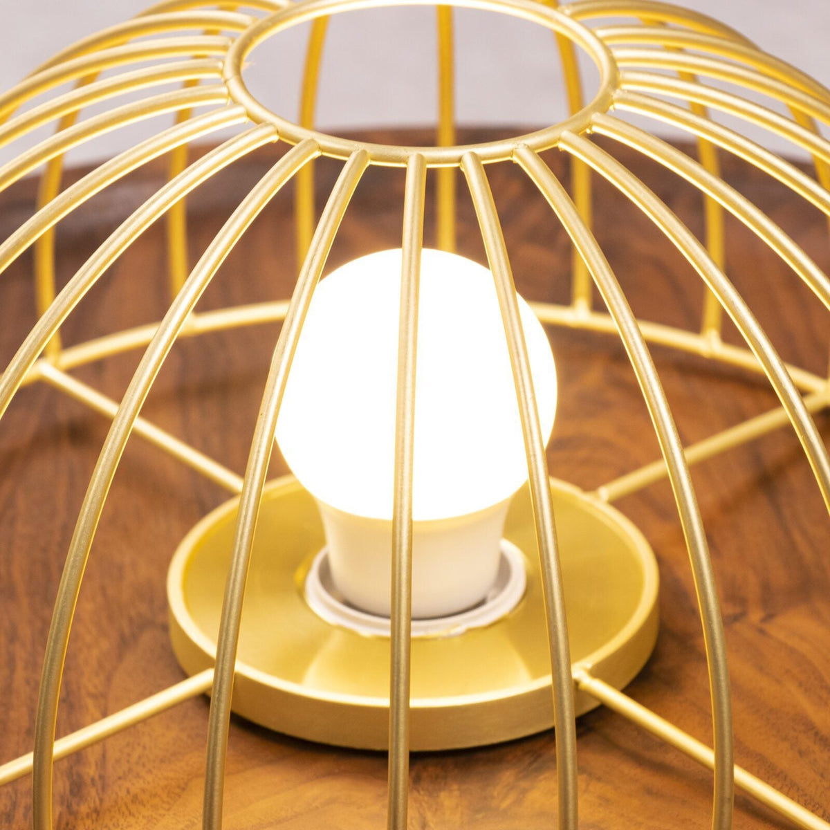 Kasa Hanging Ceiling Light
