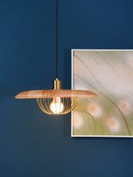 Kasa Hanging Ceiling Light