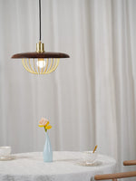 Kasa Hanging Ceiling Light