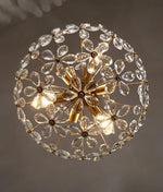 Premium Glass Hanging Lamp Fixture