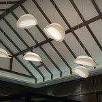 Moth Pendant Lamp