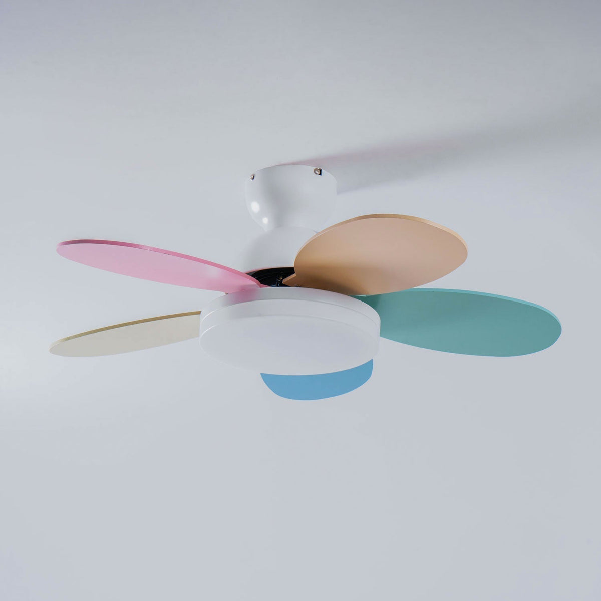 Petalo Ceiling Fan Light 25027481