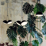 nod-suspension-pendant-light