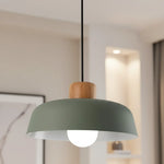 nordic-minimalist-smooth-bowl-pendant-light