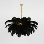 ostrich-feather-chandelier