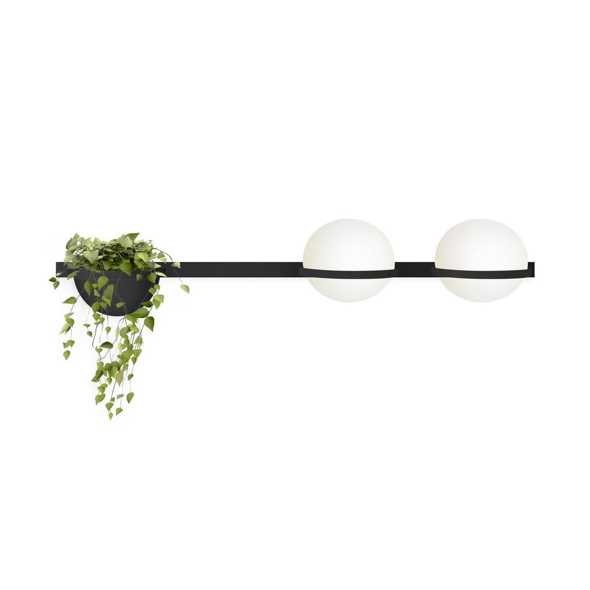 Solstice Wall Light