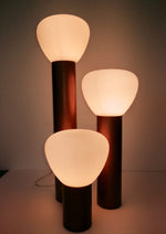 Kienney Desk Light