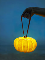 Portable Pumpkin Built In Battery Table Lamp