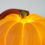 Portable Pumpkin Built In Battery Table Lamp