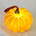 Portable Pumpkin Built In Battery Table Lamp