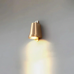 rafael-modern-minimalist-outdoor-wall-lamp