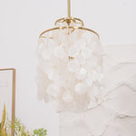 Shell Pendant Lamp