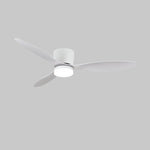 Aerodynamics Wooden Ceiling Fan Light 25027483